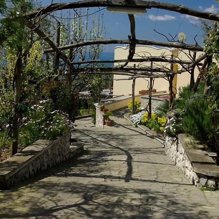 Villa Romantica Massa Lubrense Eksteriør billede